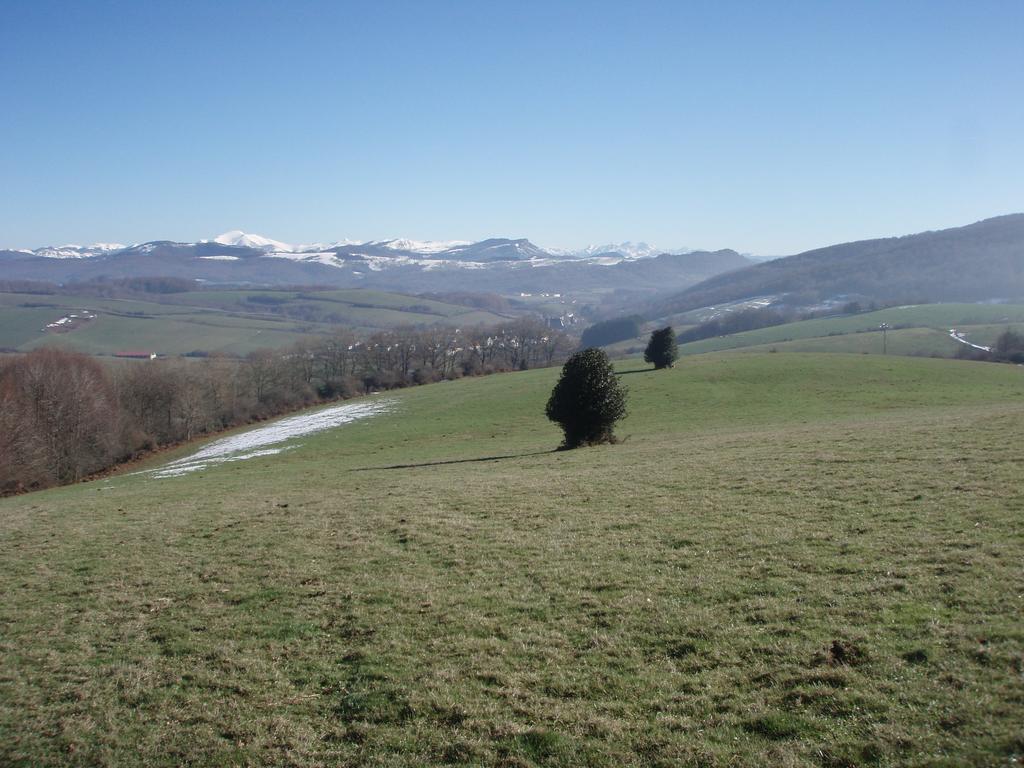 Casa Rural Irugoienea Espinal-Auzperri Exteriér fotografie